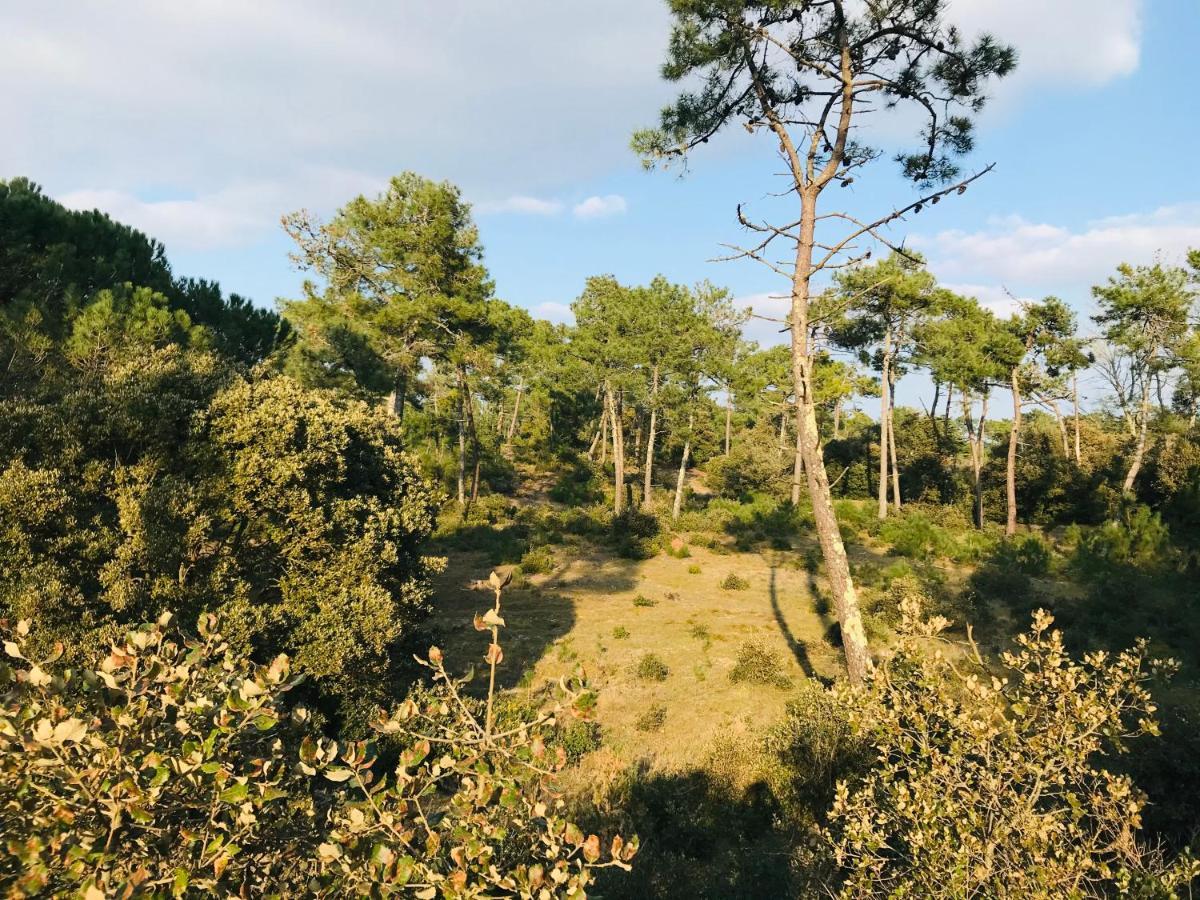 Standing Et Ocean A 50M, Appartement De L'Oasis Saint-Jean-de-Monts Eksteriør billede